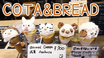 浅草観光にぴったりな可愛い動物のクレープ屋COTA&BREAD | きれいと